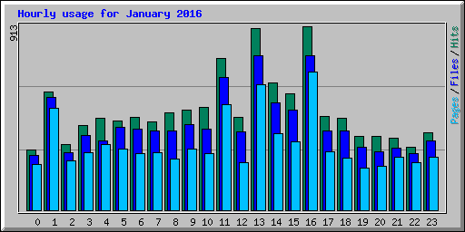 Hourly usage for January 2016