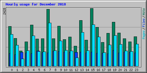 Hourly usage for December 2018