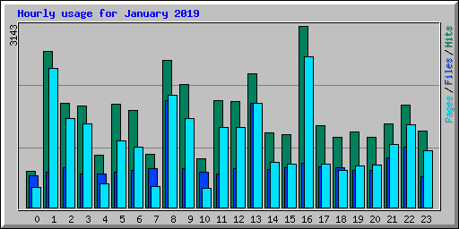 Hourly usage for January 2019