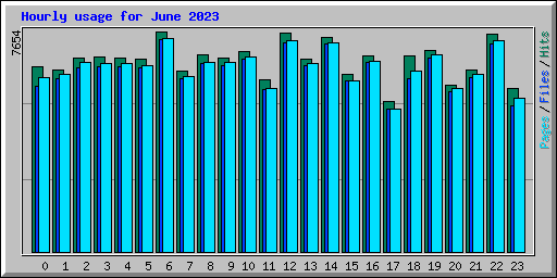 Hourly usage for June 2023