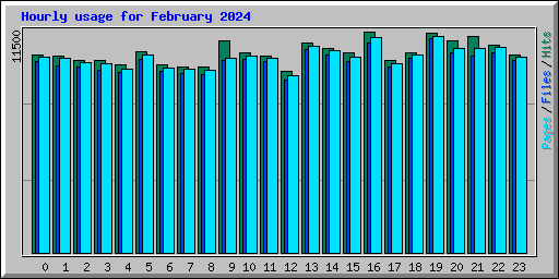Hourly usage for February 2024