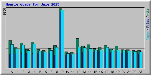 Hourly usage for July 2025