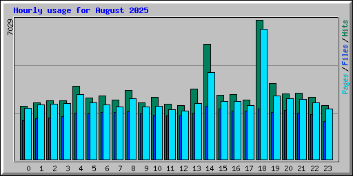 Hourly usage for August 2025