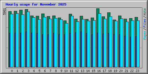 Hourly usage for November 2025